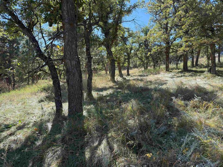 Property Photo:  Lot 24 Ridgefield Loop  SD 57783-8807 