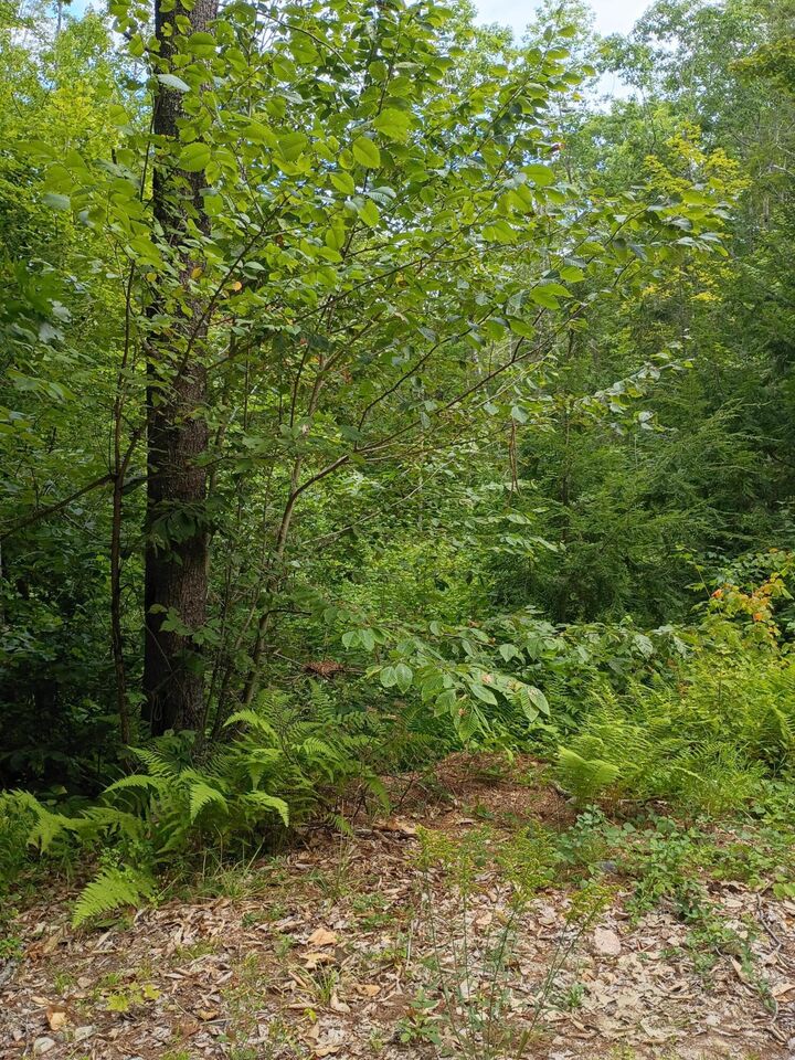 Property Photo: R13/038 Weeks Road ME 04047
