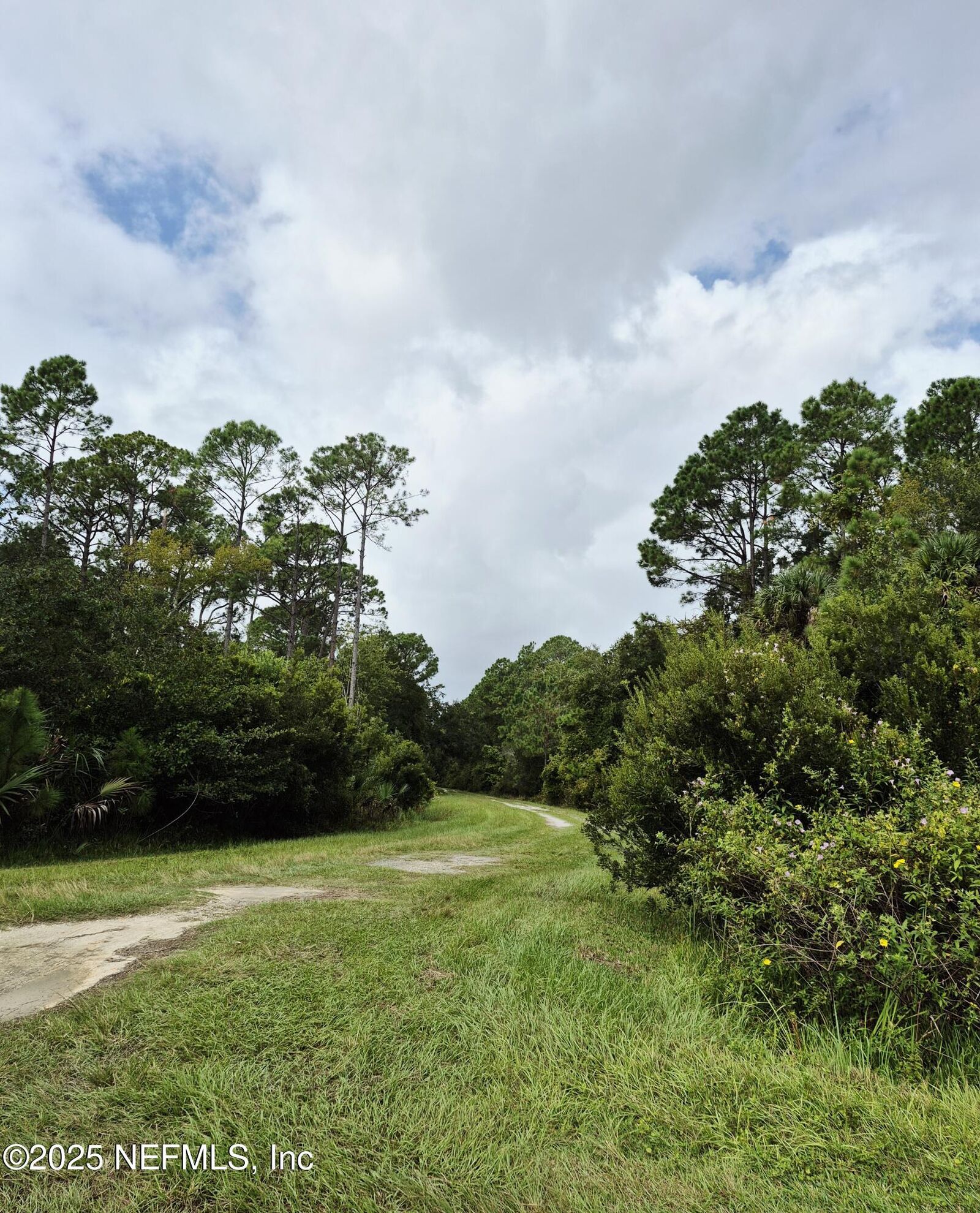 Property Photo: 214 Dogwood Avenue FL 32139