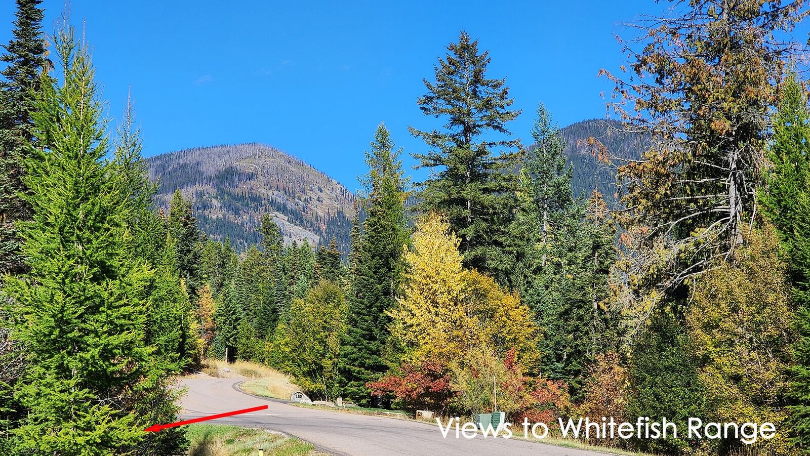 Property Photo:  254 S Beargrass Circle  MT 59937 