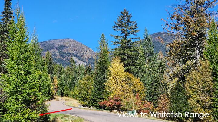 254 S Beargrass Circle  Whitefish MT 59937 photo