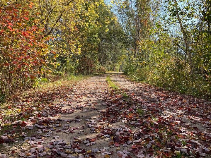 Property Photo: 56694 Williams Lane MN 55072