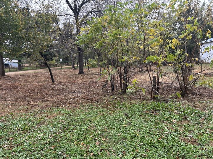 Property Photo:  Tbd 266th St &Amp 539th Ave  MN 55950 