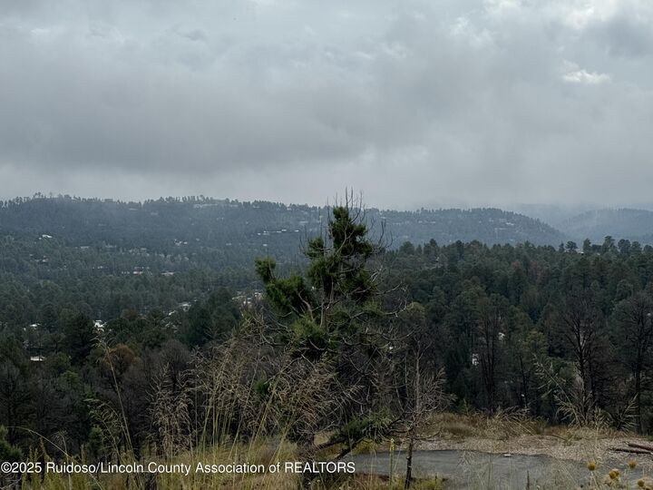 Property Photo:  107 Cibola Circle  NM 88345 