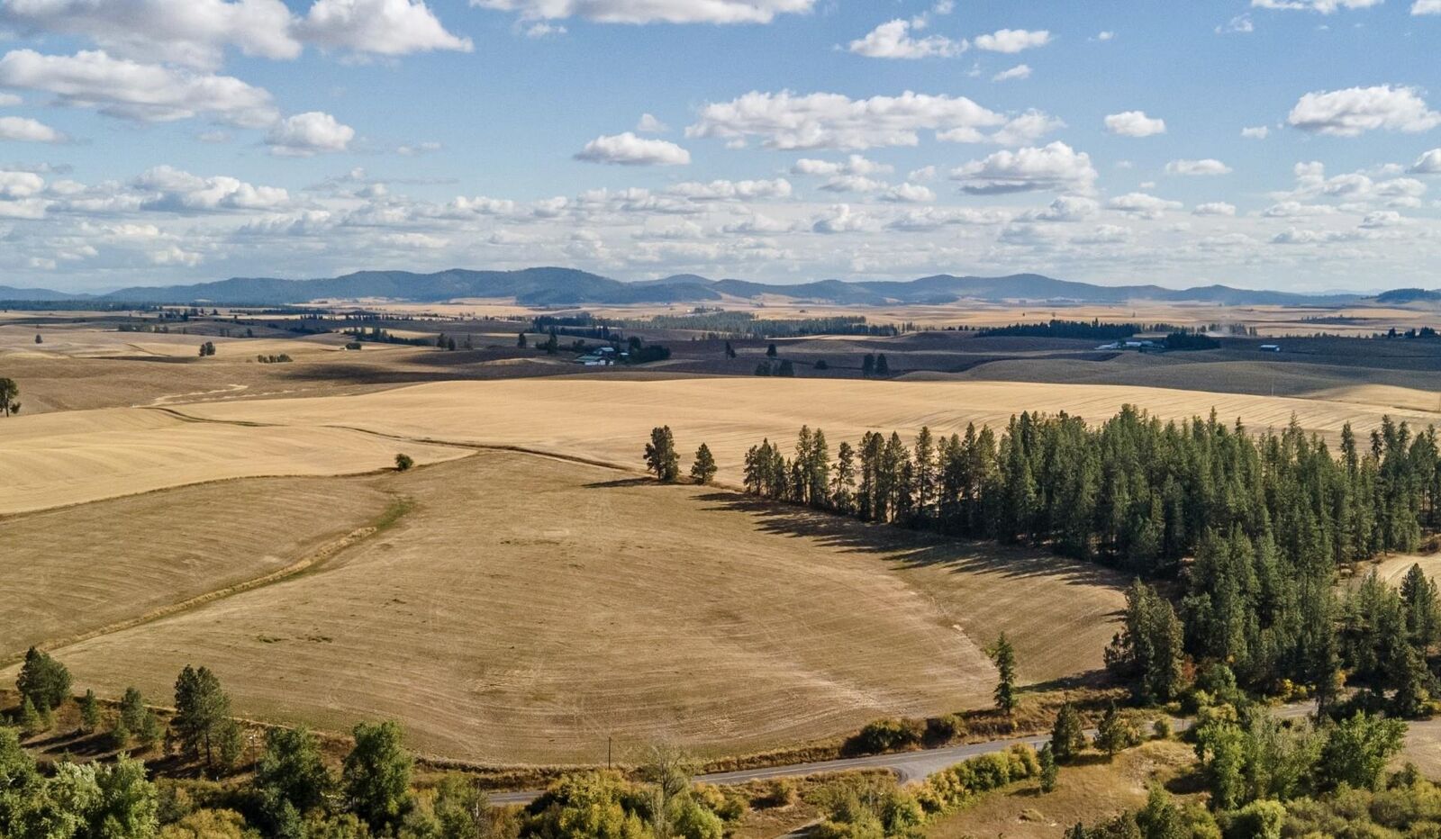 Property Photo:  22210 E Stringham Rd  WA 99030 