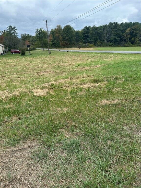 Property Photo: 0 Hornbrook Road NY 14850