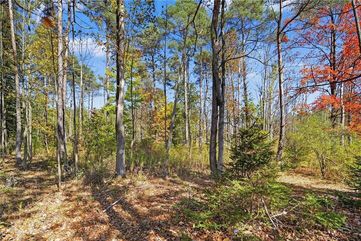 Property Photo: 00 Snyder Hill Road NY 14850