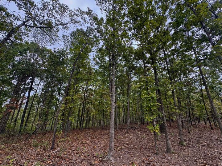 Property Photo: Xx Firetower Road AR 72542