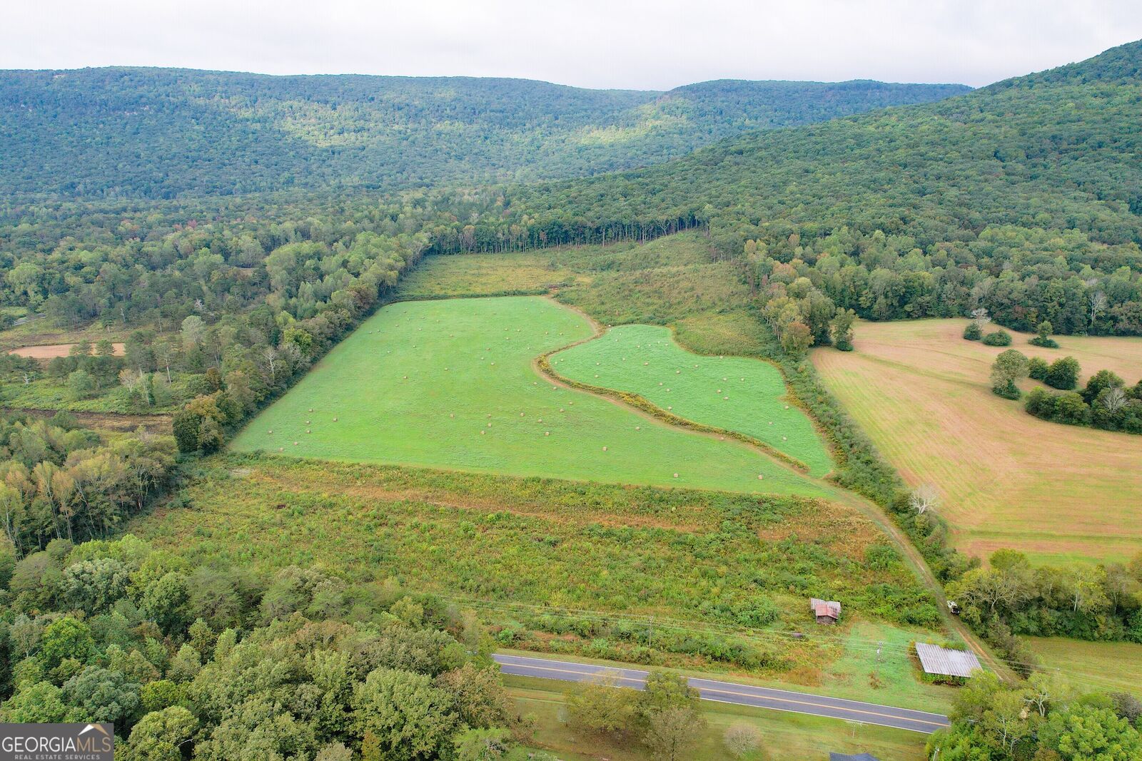 Property Photo: 62 +/- Acres On Chamberlain Road GA 30728