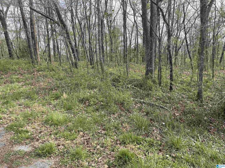 Property Photo: 0 W 24th Street 0 AL 36201