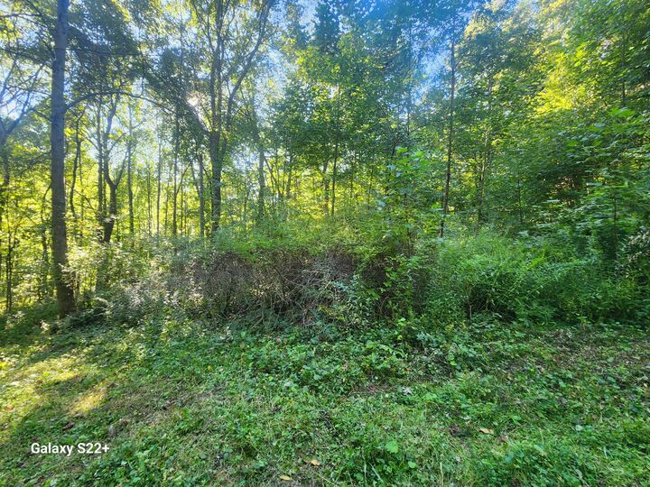 Property Photo: 2 Ac 2 Ac Off Midland Trl W Rupert, WV 25984