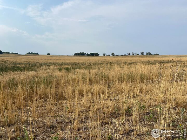 Property Photo:  0 County Road 34 And 35 Sec 14  CO 80651 