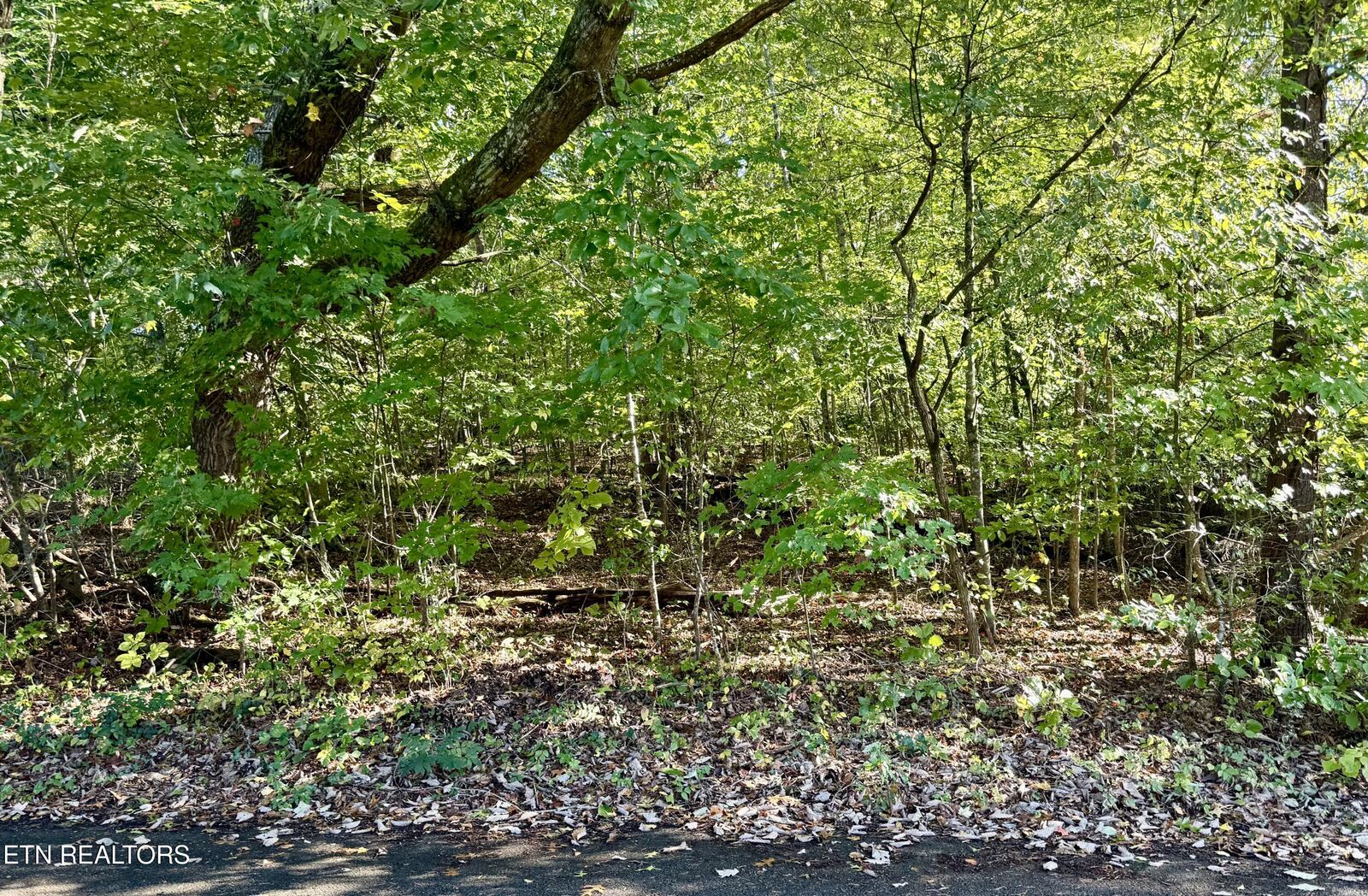 Property Photo:  Reagan St  TN 37752 