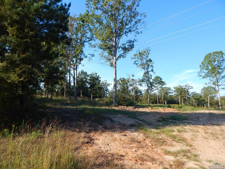 Property Photo: Tbd 7.57 Acres Hwy 259 TX 75683