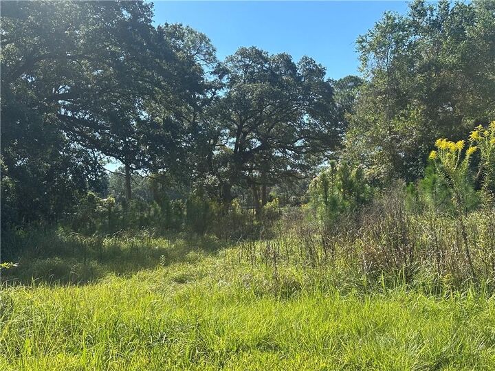 Property Photo: 8916 W Alba Street AL 36509
