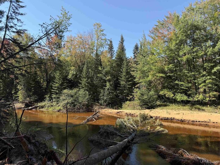 Property Photo:  18.7 Acres On Cals Dr Drive  MI 49854 