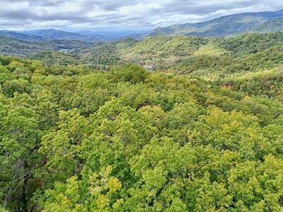 Property Photo: Lot 31 Skyview Trail NC 28904