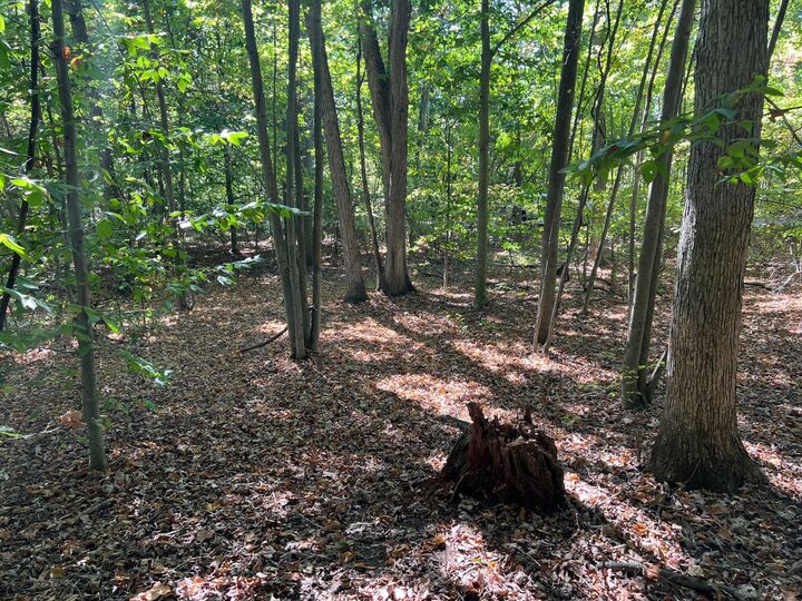 Property Photo:  000 Vl Lake Dr Lot 174/175  MI 49010 