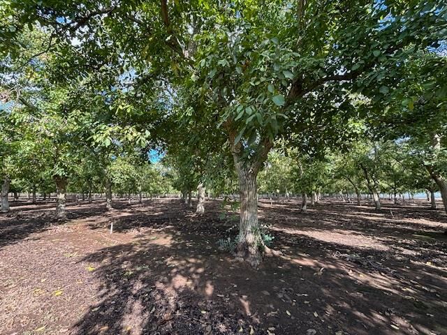 Property Photo: 0 Gallagher Road CA 95674