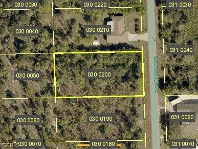 1015 Michael Avenue  Lehigh Acres FL 33936 photo