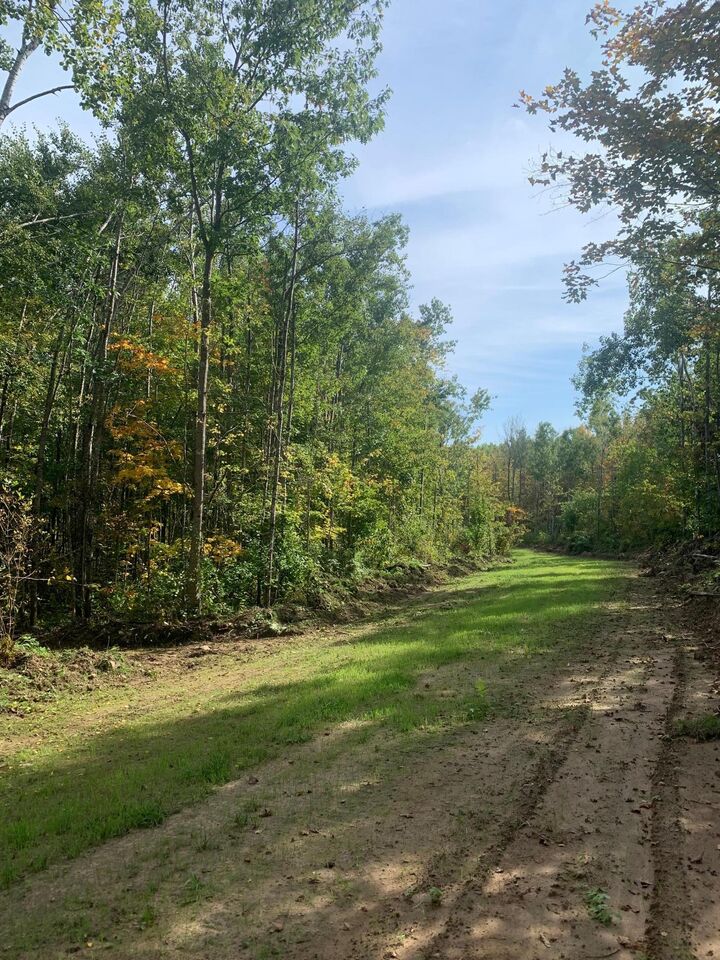 Property Photo:  Tbd County Road T 4  WI 54830 