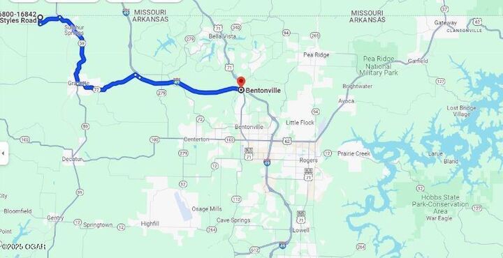 Property Photo: Tract 1 Styles Road -- MO 64854