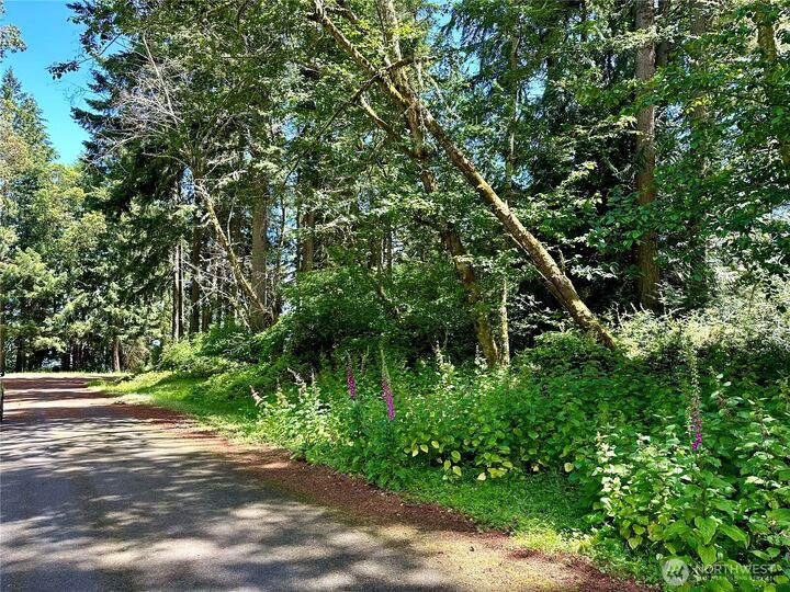 Property Photo:  10312  Matthews  WA 98303