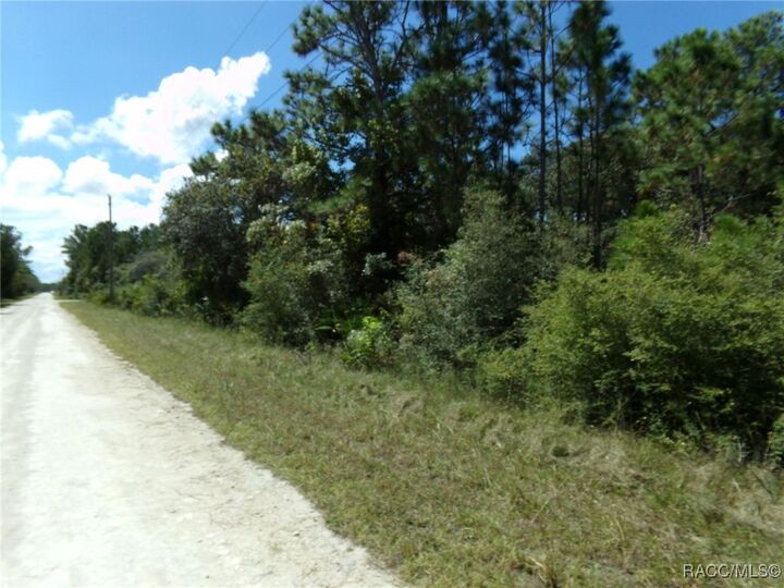 Property Photo: 18303 Ramsey Road FL 34614