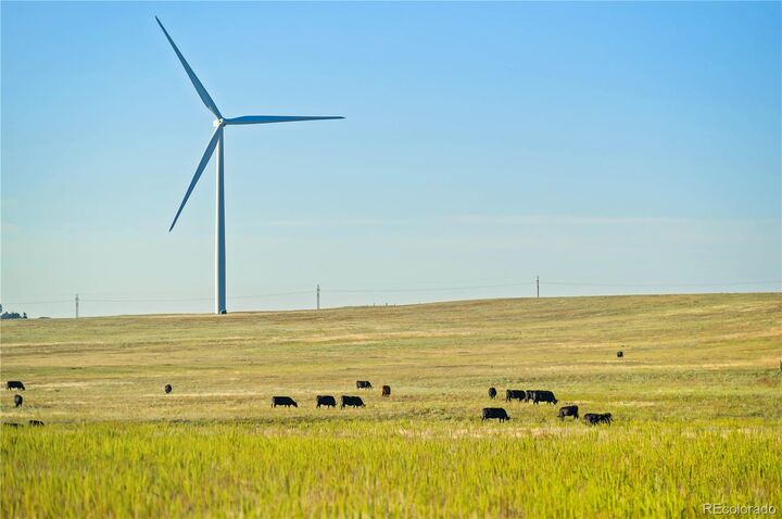 Property Photo:  12610 Ramah Highway  CO 80808 