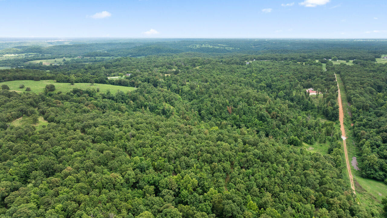 Property Photo:  Tract 6 Styles Road  MO 64854 