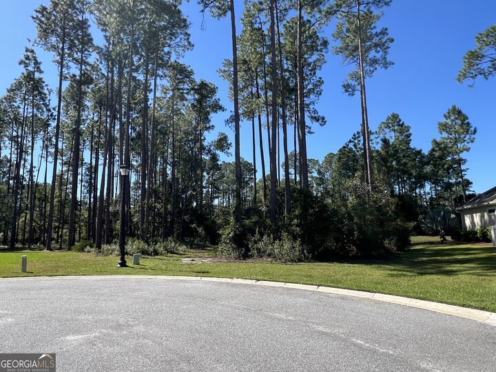 Property Photo:  103 Angler Lane  GA 31558 