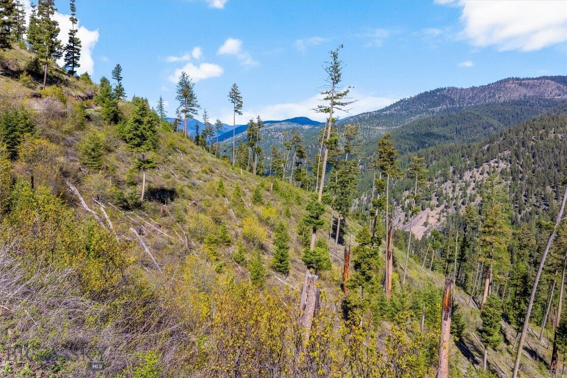 Property Photo:  25575 Patter Spur Road  MT 59825 