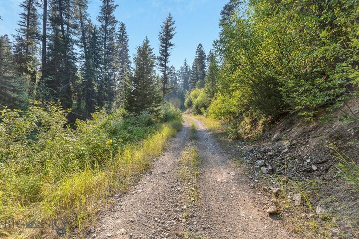 Property Photo:  6300 Camas Creek Road  MT 59823 