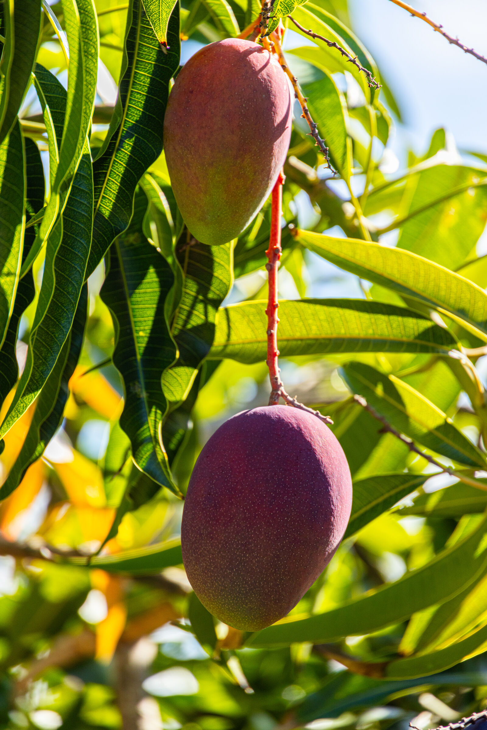 Property Photo: Unknown HI 96750