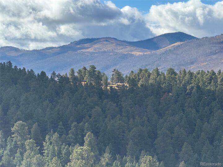 Property Photo:  284 Borman Dr  CO 81133 