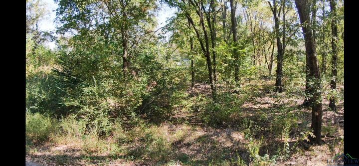 Property Photo: 119 S Olive St TX 75647