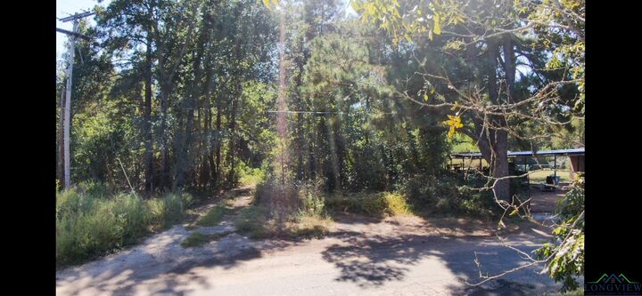 Property Photo: Tbd Coby St. TX 75647