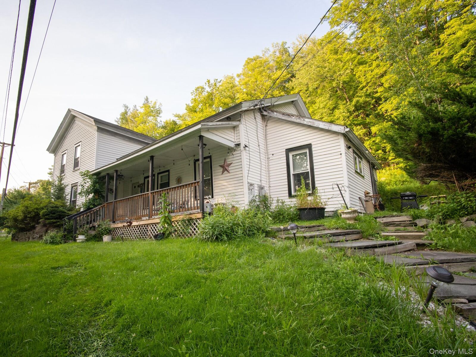 Property Photo:  410 Main Street  NY 12740 