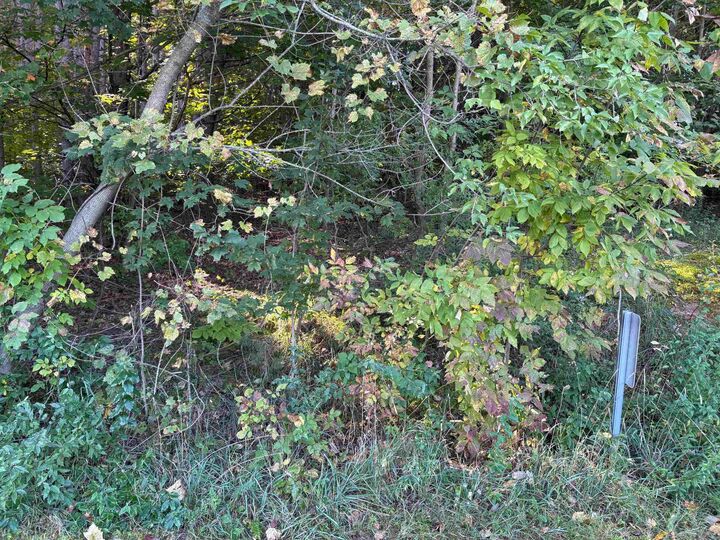 Property Photo:  #-40 E North Wind Trail  MI 49653 