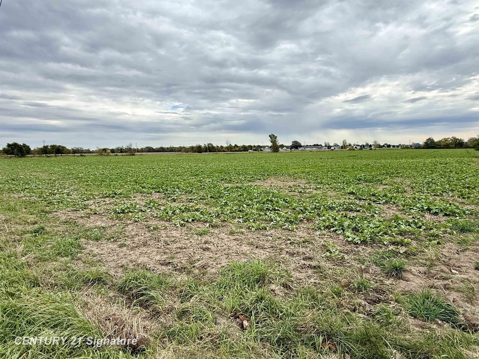 Property Photo: Lot 2 Kloha Road MI 48706