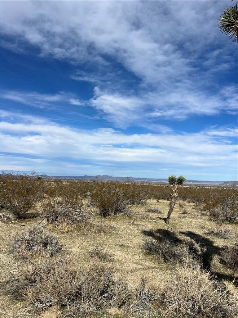 Property Photo:  206 S Cor Ave X Largo Vista 2  CA 93544 