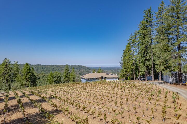 Property Photo:  18591 Ponderosa Hills Road  CA 95689 