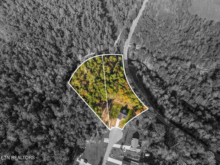 Property Photo:  523 Ferry Bend Tr  TN 38571 