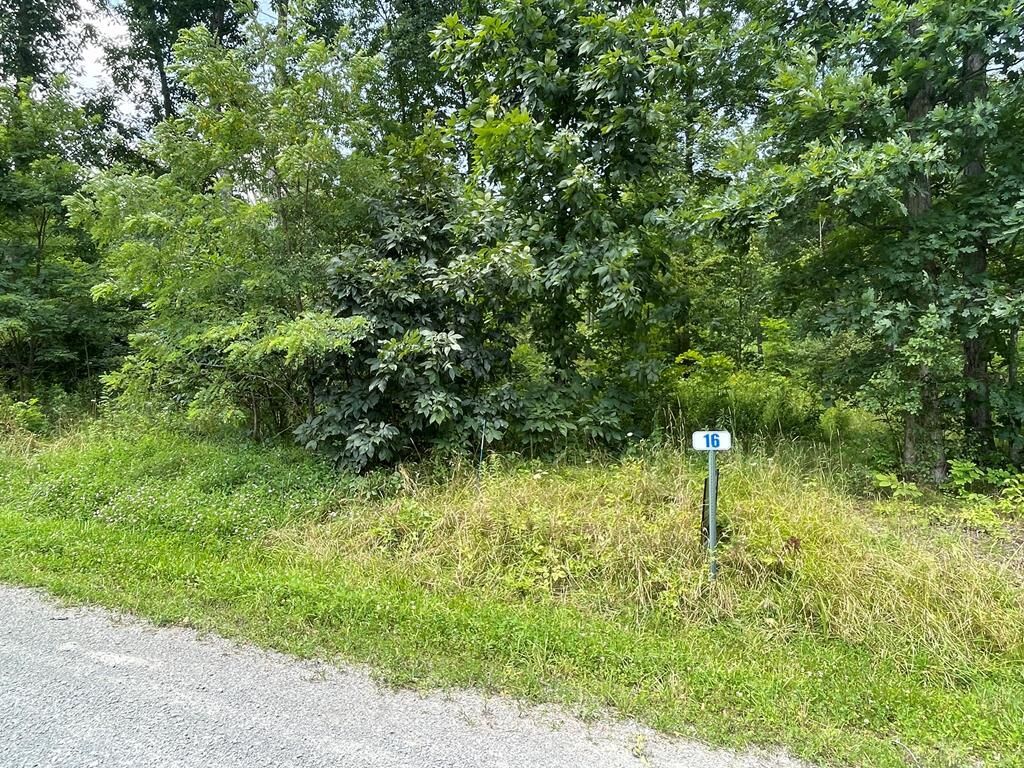 Property Photo: Lot 16A Hemlock Hills Rd PA 18848