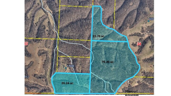 Property Photo: Tract 12 Styles Road MO 64854
