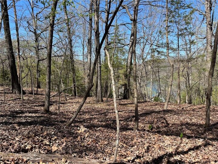 Property Photo:  Lot 12 Dogwood Drive  AR 72732 