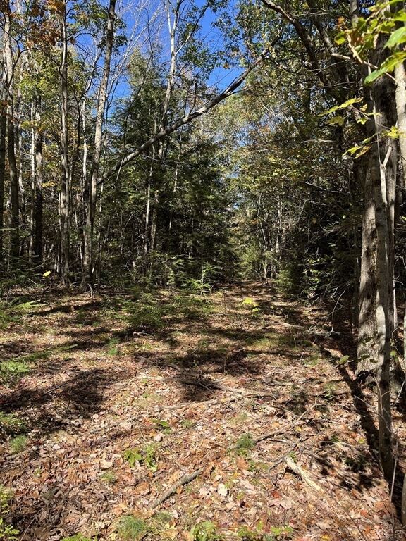Property Photo: 0 Otis Stage Rd MA 01008