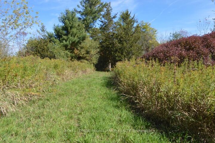 Property Photo:  0 Scriver Road  ON K0K 1H0 