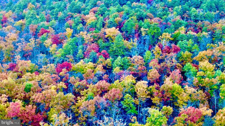 Property Photo:  Fox Trail Lot 5A  VA 22602 