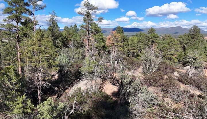 Property Photo: Lot 37 Saddleback Trail AZ 85541